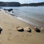 Foto 16.08.22, 16 04 15